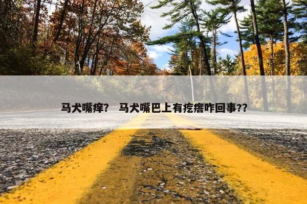马犬嘴痒？ 马犬嘴巴上有疙瘩咋回事?？