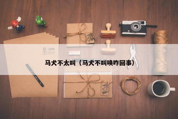 马犬不太叫（马犬不叫唤咋回事）