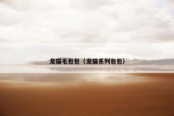 龙猫毛包包（龙猫系列包包）