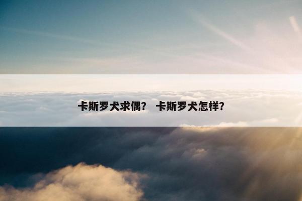 卡斯罗犬求偶？ 卡斯罗犬怎样？