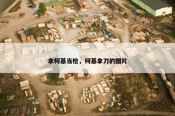 拿柯基当枪，柯基拿刀的图片