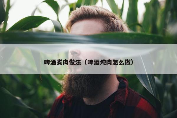 啤酒煮肉做法（啤酒炖肉怎么做）