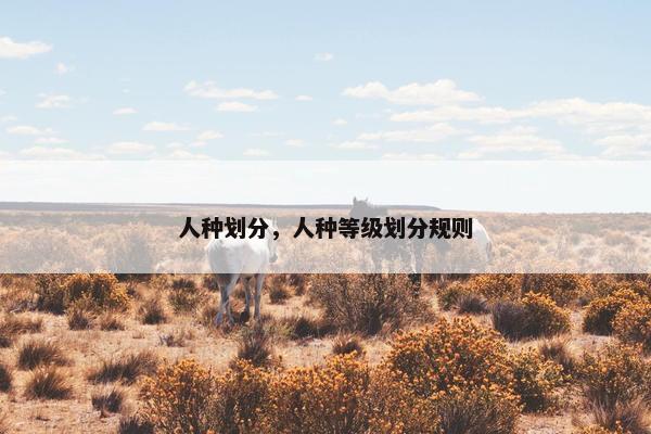 人种划分，人种等级划分规则