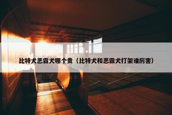 比特犬恶霸犬哪个贵（比特犬和恶霸犬打架谁厉害）