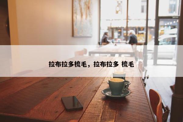 拉布拉多梳毛，拉布拉多 梳毛