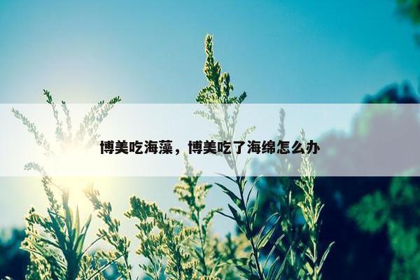 博美吃海藻，博美吃了海绵怎么办