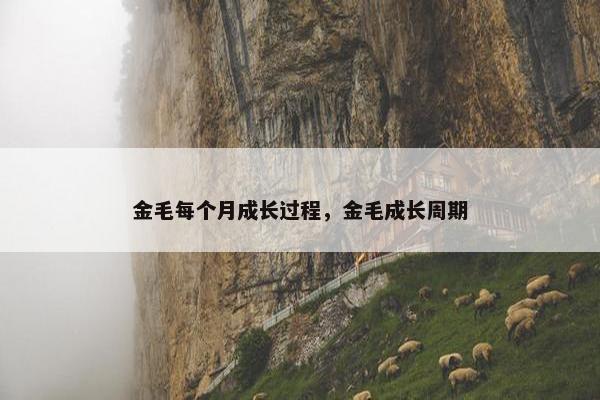 金毛每个月成长过程，金毛成长周期