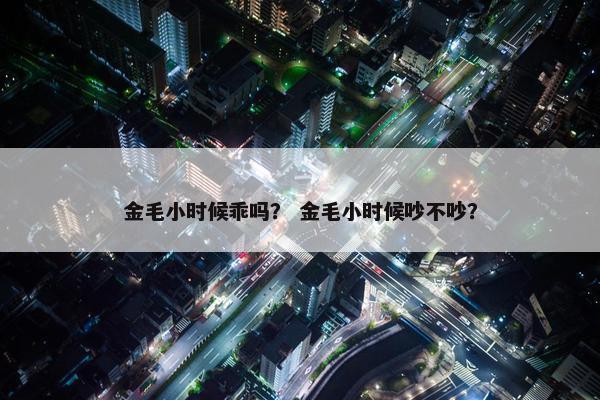 金毛小时候乖吗？ 金毛小时候吵不吵？