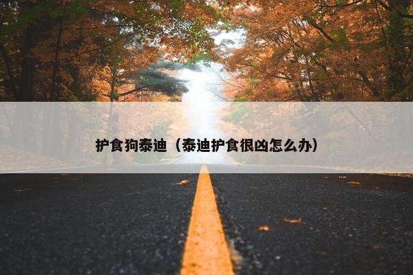 护食狗泰迪（泰迪护食很凶怎么办）