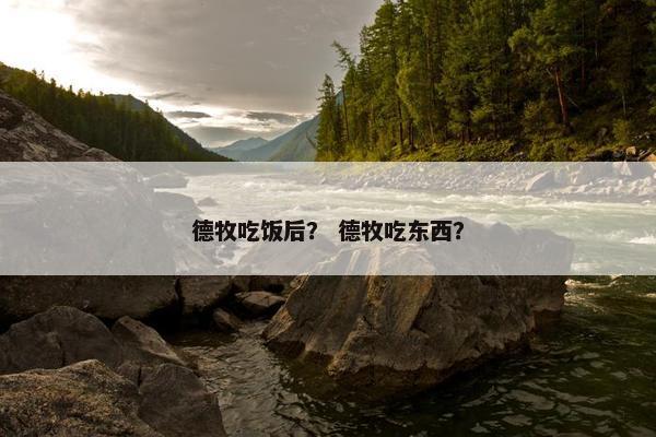 德牧吃饭后？ 德牧吃东西？