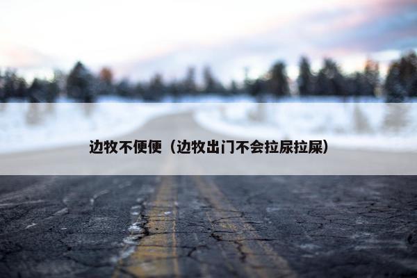 边牧不便便（边牧出门不会拉尿拉屎）