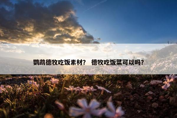 鹦鹉德牧吃饭素材？ 德牧吃饭菜可以吗？
