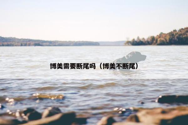 博美需要断尾吗（博美不断尾）