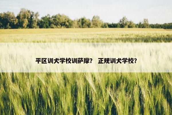 平区训犬学校训萨摩？ 正规训犬学校？