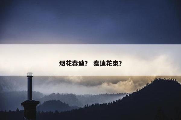烟花泰迪？ 泰迪花束？