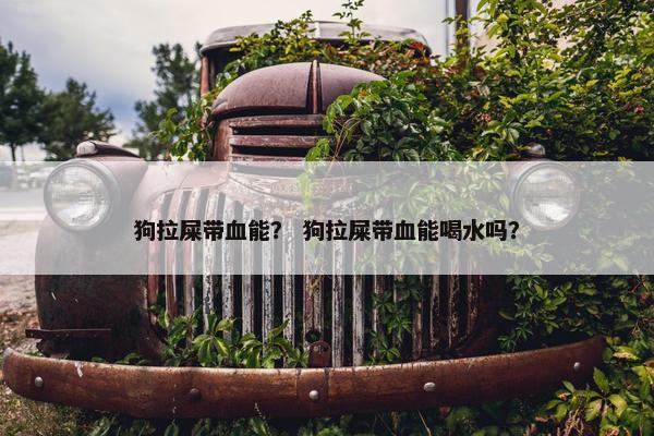 狗拉屎带血能？ 狗拉屎带血能喝水吗？