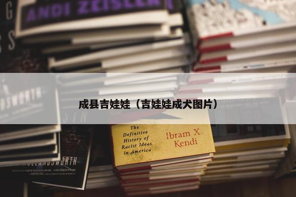 成县吉娃娃（吉娃娃成犬图片）