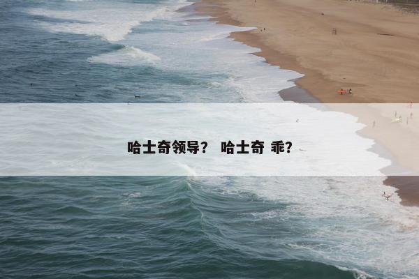 哈士奇领导？ 哈士奇 乖？