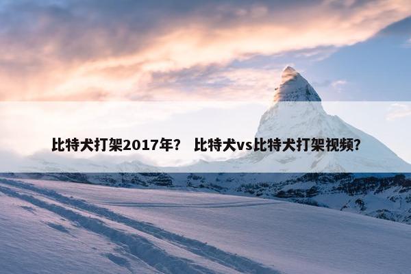 比特犬打架2017年？ 比特犬vs比特犬打架视频？