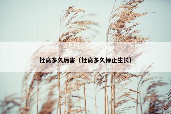 杜高多久厉害（杜高多久停止生长）