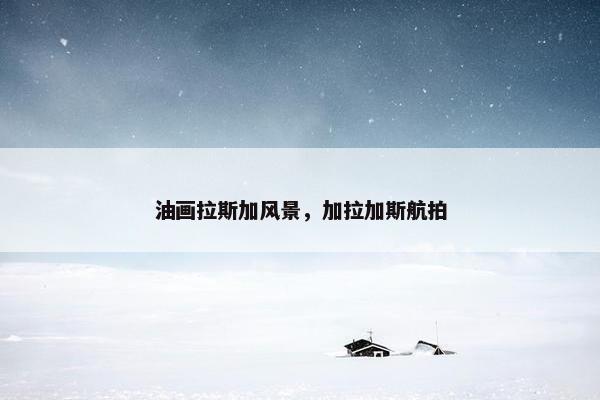 油画拉斯加风景，加拉加斯航拍