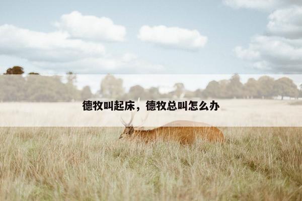 德牧叫起床，德牧总叫怎么办