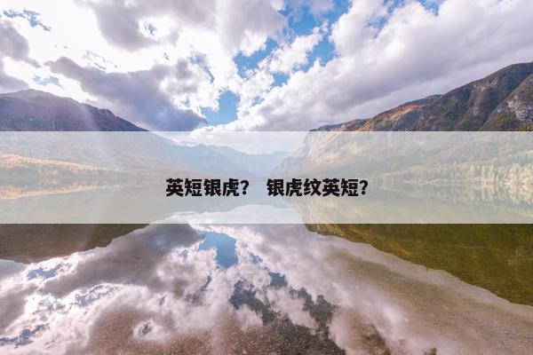 英短银虎？ 银虎纹英短？