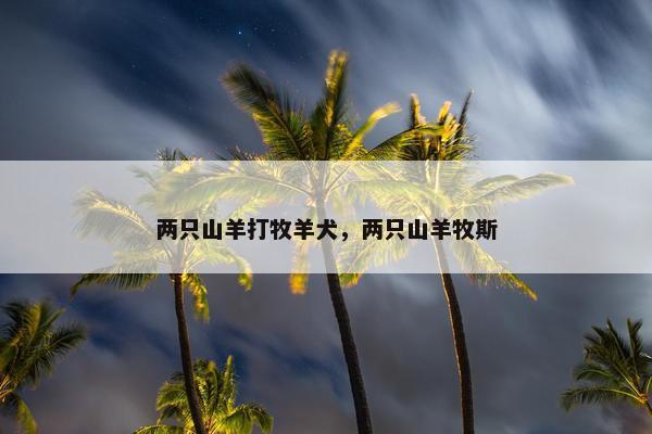 两只山羊打牧羊犬，两只山羊牧斯