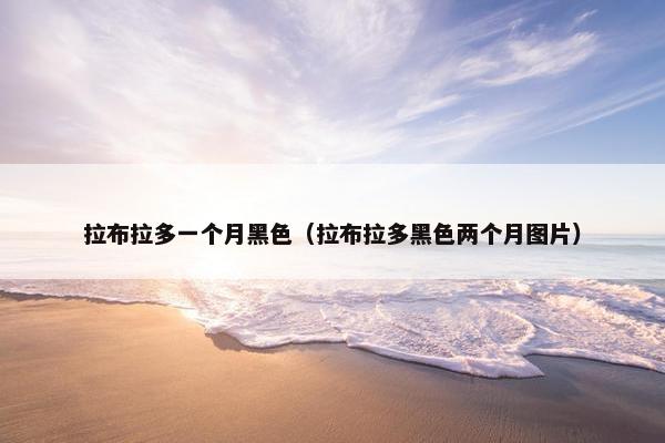拉布拉多一个月黑色（拉布拉多黑色两个月图片）