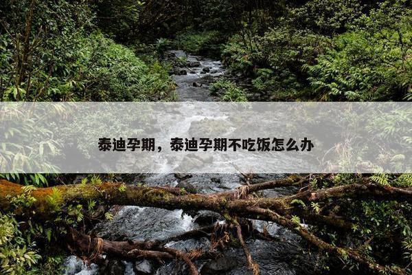 泰迪孕期，泰迪孕期不吃饭怎么办