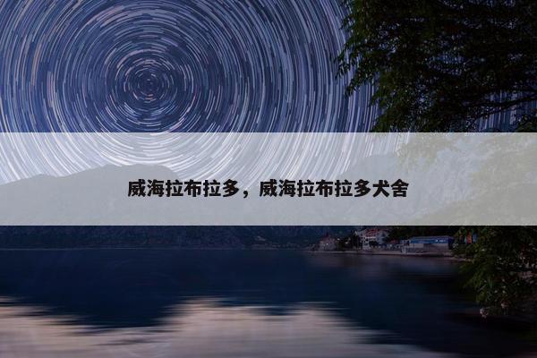 威海拉布拉多，威海拉布拉多犬舍