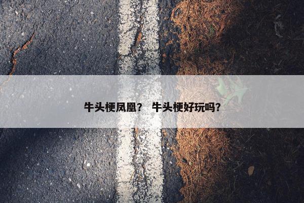 牛头梗凤凰？ 牛头梗好玩吗？