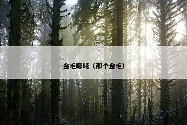 金毛哪吒（那个金毛）