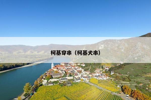 柯基穿串（柯基犬串）