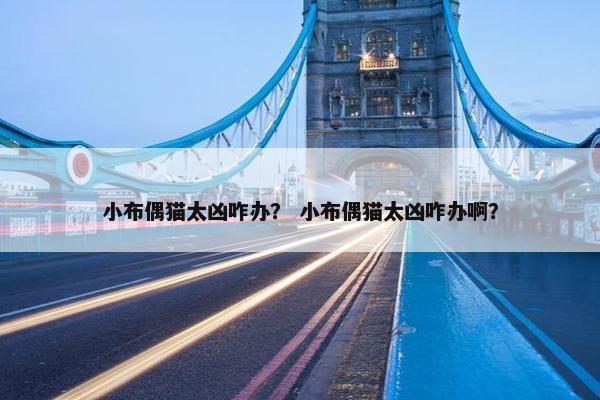 小布偶猫太凶咋办？ 小布偶猫太凶咋办啊？