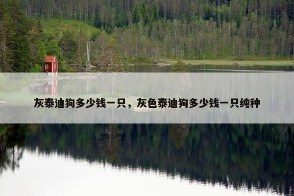 灰泰迪狗多少钱一只，灰色泰迪狗多少钱一只纯种