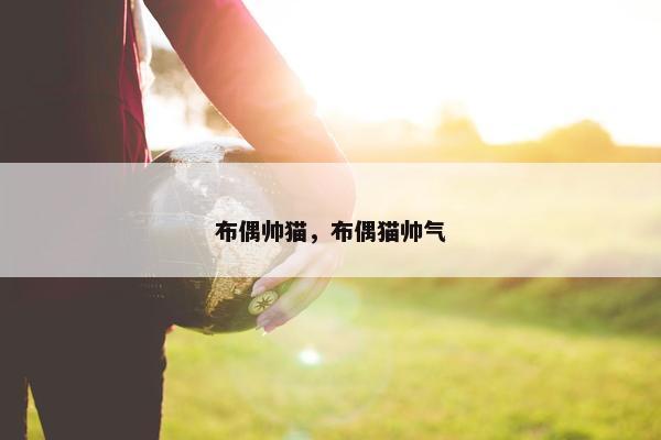 布偶帅猫，布偶猫帅气