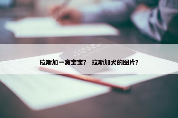 拉斯加一窝宝宝？ 拉斯加犬的图片？