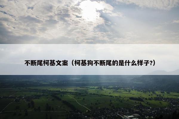 不断尾柯基文案（柯基狗不断尾的是什么样子?）