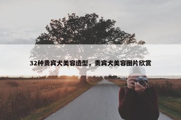 32种贵宾犬美容造型，贵宾犬美容图片欣赏