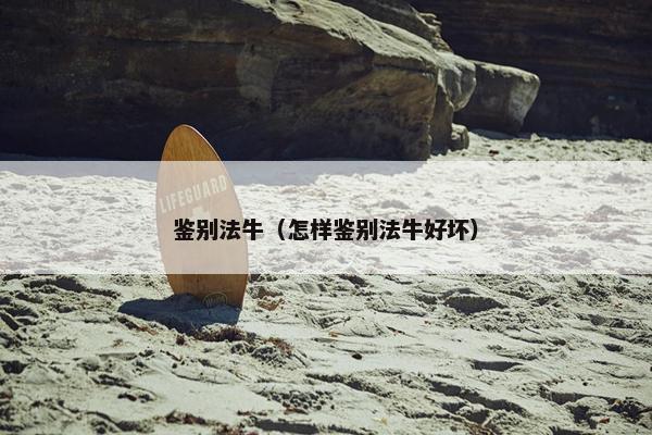 鉴别法牛（怎样鉴别法牛好坏）