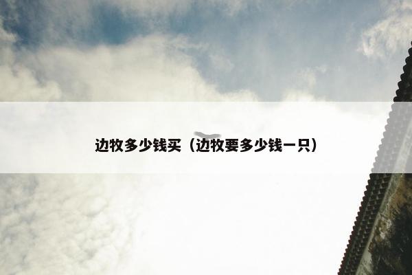 边牧多少钱买（边牧要多少钱一只）
