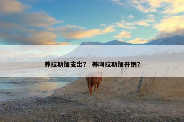 养拉斯加支出？ 养阿拉斯加开销？