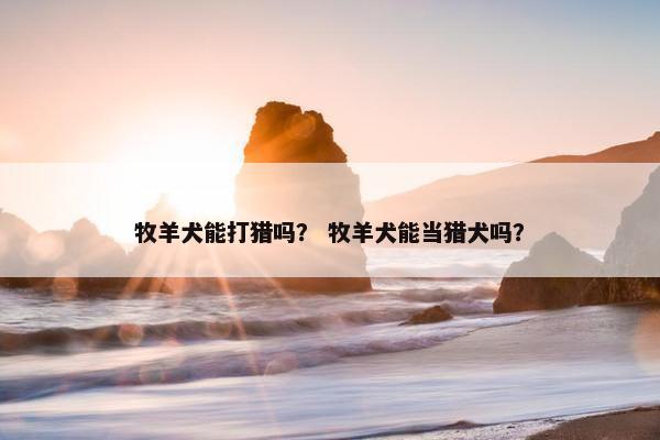 牧羊犬能打猎吗？ 牧羊犬能当猎犬吗？
