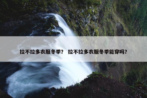 拉不拉多衣服冬季？ 拉不拉多衣服冬季能穿吗？