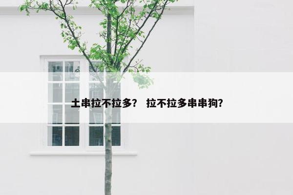 土串拉不拉多？ 拉不拉多串串狗？