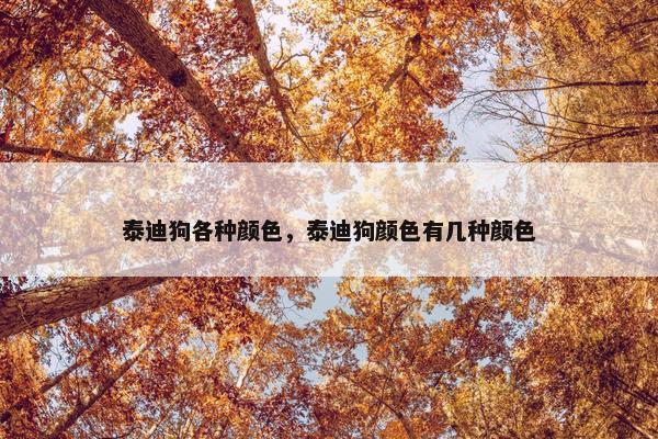 泰迪狗各种颜色，泰迪狗颜色有几种颜色