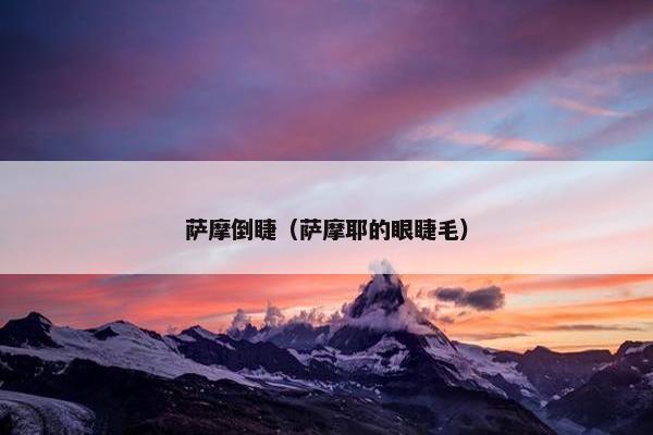 萨摩倒睫（萨摩耶的眼睫毛）