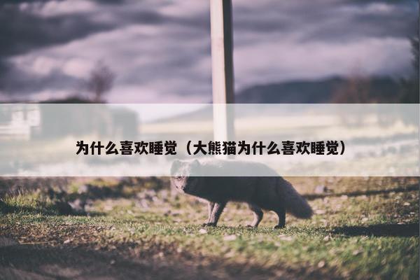 为什么喜欢睡觉（大熊猫为什么喜欢睡觉）