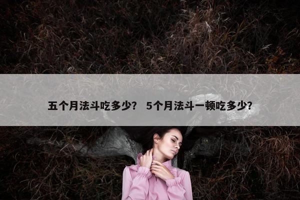 五个月法斗吃多少？ 5个月法斗一顿吃多少？